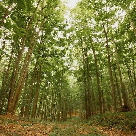Вілла Wilderness Vista Retreat Reed City Екстер'єр фото