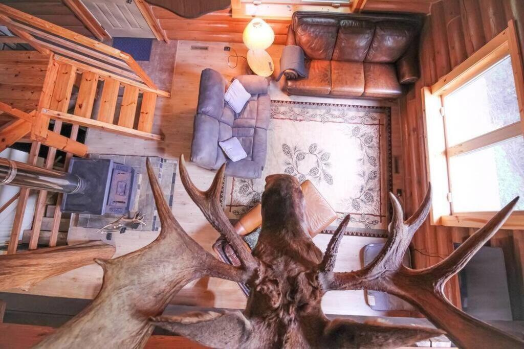 Вілла Wilderness Vista Retreat Reed City Екстер'єр фото